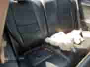 2006 Honda Accord EX-L with VIN 1HGCM72676A004255, listed as a Copart auction lot 80563145 with 240,902 mi miles and Salvage title. Bid and sale history available at DreamBid. Image 10.