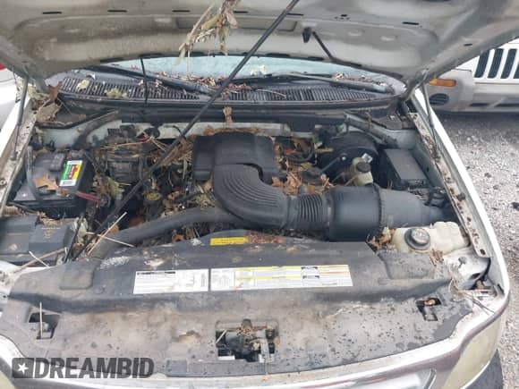 1999 Ford F-150 with VIN 1FTRX17W0XKB32371, listed as a IAAI auction lot 43457398 with Not provided miles and . Bid and sale history available at DreamBid. Image 10.