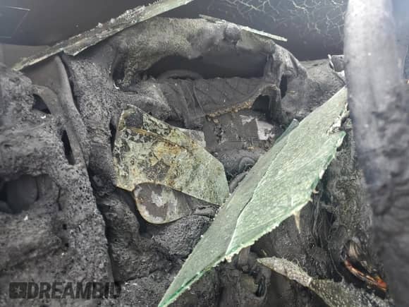 2024 Ram 1500 TRX with VIN 1C6SRFU9XRN135374, listed as a Copart auction lot 54679005 with Not provided miles and Non repairable. Bid and sale history available at DreamBid. Image 9.