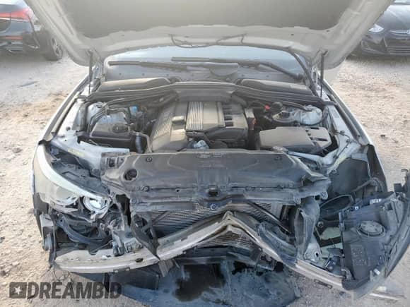 2004 BMW 5 Series 530i with VIN WBANA73514B061741, listed as a Copart auction lot 81149445 with 105,246 mi miles and Salvage title. Bid and sale history available at DreamBid. Image 11.