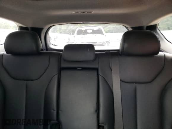 2019 Hyundai Santa Fe Limited z VIN 5NMS53AA3KH046203, wystawiony jako Copart lot #63387675 z przebiegiem 114 258 mil mil oraz Szkoda całkowita • Salvage title. Historia ofert i sprzedaży dostępna na DreamBid. Obrazek 10.