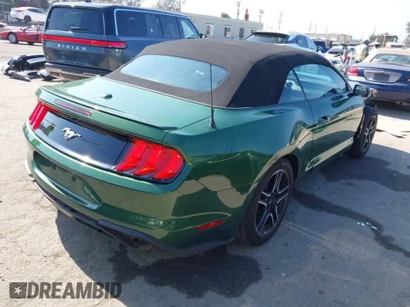2023 Ford Mustang EcoBoost with VIN 1FATP8UH3P5100099, listed as a IAAI auction lot 42391702 with 11,613 mi miles and . Bid and sale history available at DreamBid. Image 4.