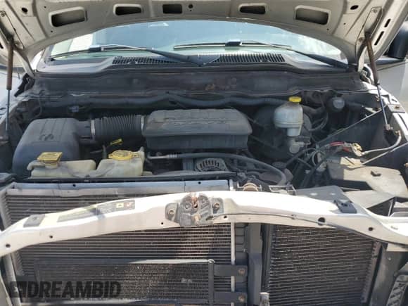 2005 Dodge 1500 SLT with VIN 1D7HA16N85J553804, listed as a Copart auction lot 52149395 with 221,522 mi miles and Salvage title. Bid and sale history available at DreamBid. Image 12.