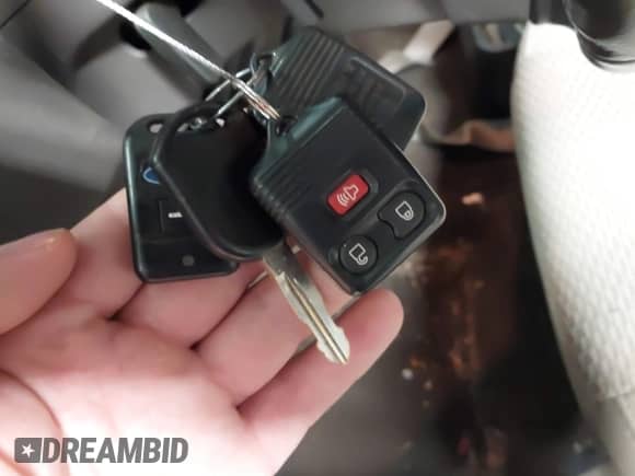 2010 Ford F-150 XL with VIN 1FTFX1EV2AKE13835, listed as a IAAI auction lot 43229485 with 142,016 mi miles and . Bid and sale history available at DreamBid. Image 11.