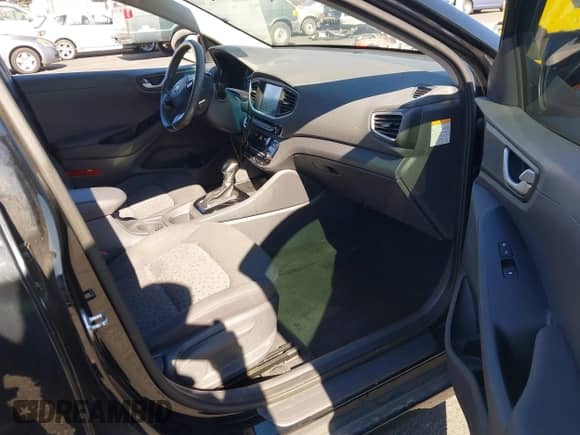 2019 Hyundai Ioniq Blue z VIN KMHC65LC9KU140327, wystawiony jako IAAI lot #43495646 z przebiegiem 204 157 mil mil oraz . Historia ofert i sprzedaży dostępna na DreamBid. Obrazek 5.