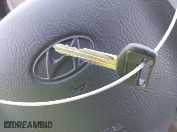 2005 Hyundai Santa Fe GLS with VIN KM8SC13D95U888747, listed as a IAAI auction lot 38833174 with 154,111 mi miles and . Bid and sale history available at DreamBid. Image 11.