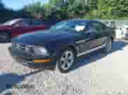 2007 Ford Mustang Deluxe with VIN 1ZVFT80N375337462, listed as a IAAI auction lot 43061969 with 319,872 mi miles and . Bid and sale history available at DreamBid. Image 19.