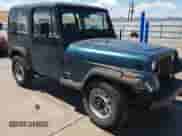 1995 Jeep Wrangler S with VIN 1J4FY19P4SP263783, listed as a Copart auction lot 69754055 with 176,518 mi miles and Salvage title. Bid and sale history available at DreamBid. Image 14.