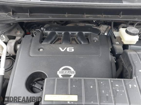 2010 Nissan Murano LE with VIN JN8AZ1MW7AW121853, listed as a IAAI auction lot 41893510 with 148,047 mi miles and . Bid and sale history available at DreamBid. Image 10.