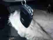 2024 Honda Accord EX с VIN 1HGCY1F32RA058875, выставлен на аукционе IAAI как лот 42853154 с пробегом 15 201 миль миль и . История ставок и продаж доступна на DreamBid. Изображение 11.