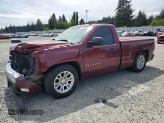 2009 Chevrolet Silverado 1500 Work Truck with VIN 1GCEC14X29Z218430, listed as a Copart auction lot 56406835 with 170,868 mi miles and Salvage title. Bid and sale history available at DreamBid. Image 1.