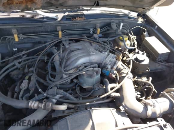 1998 Nissan Pathfinder XE with VIN JN8AR05Y6WW239698, listed as a IAAI auction lot 42651496 with 255,349 mi miles and . Bid and sale history available at DreamBid. Image 12.