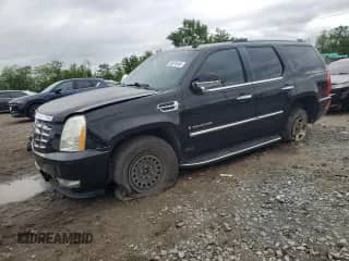 2009 Cadillac Escalade with VIN 1GYFK23269R176860, listed as a Copart auction lot 56474445 with Not provided miles and Salvage title. Bid and sale history available at DreamBid. Image 1.