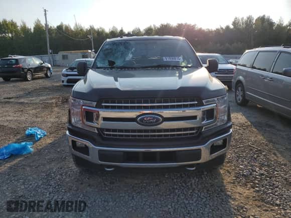 2018 Ford F-150 XLT z VIN 1FTEW1EP4JKD91319, wystawiony jako Copart lot #81056815 z przebiegiem 184 452 mil mil oraz Szkoda całkowita • Salvage title. Historia ofert i sprzedaży dostępna na DreamBid. Obrazek 5.