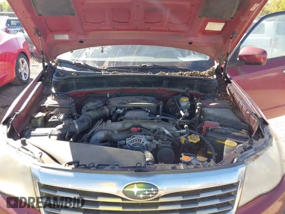 2010 Subaru Forester X Premium с VIN JF2SH6CC9AH917839, выставлен на аукционе IAAI как лот 43457944 с пробегом 257 088 миль миль и . История ставок и продаж доступна на DreamBid. Изображение 10.