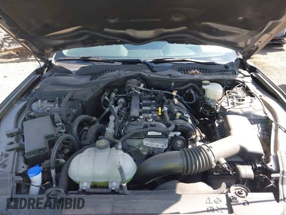 2023 Ford Mustang EcoBoost with VIN 1FA6P8TH9P5113535, listed as a IAAI auction lot 43316499 with 6,270 mi miles and . Bid and sale history available at DreamBid. Image 10.