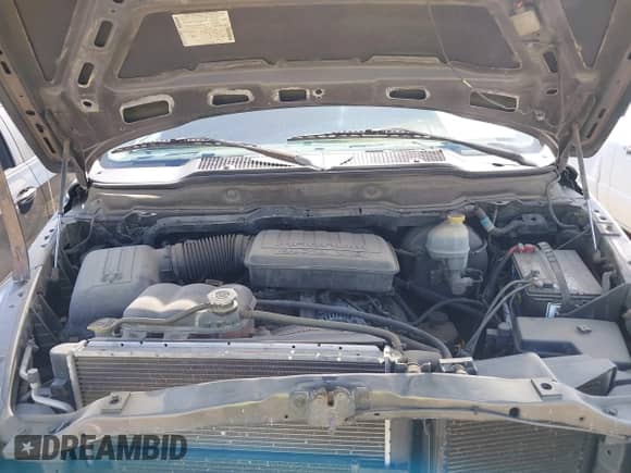 2002 Dodge 1500 z VIN 1D7HA16N42J225064, wystawiony jako IAAI lot #42932438 z przebiegiem 136 368 mil mil oraz . Historia ofert i sprzedaży dostępna na DreamBid. Obrazek 10.