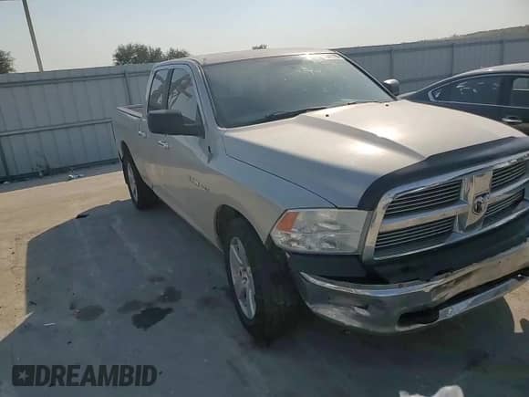 2010 Dodge 1500 SLT with VIN 1D7RV1GT4AS186927, listed as a Copart auction lot 75482764 with 251,671 mi miles and Salvage title. Bid and sale history available at DreamBid. Image 11.