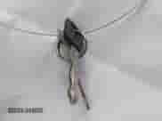 1993 Ford F-150 с VIN 1FTEF15Y7PNA14211, выставлен на аукционе IAAI как лот 43433776 с пробегом 209 739 миль миль и . История ставок и продаж доступна на DreamBid. Изображение 11.