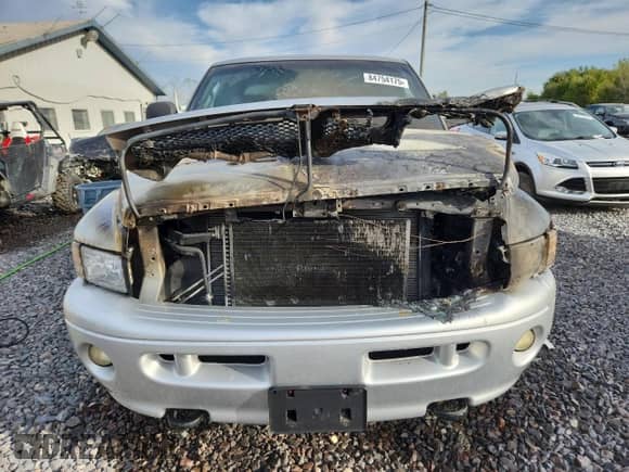 2001 Dodge 1500 with VIN 3B7HF13Z51G769219, listed as a Copart auction lot 84754175 with Not provided miles and Non repairable. Bid and sale history available at DreamBid. Image 5.