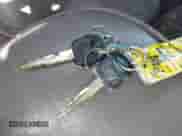 1999 Ford Econoline Cargo with VIN 1FTRE1428XHA20390, listed as a IAAI auction lot 41806875 with 207,954 mi miles and . Bid and sale history available at DreamBid. Image 11.