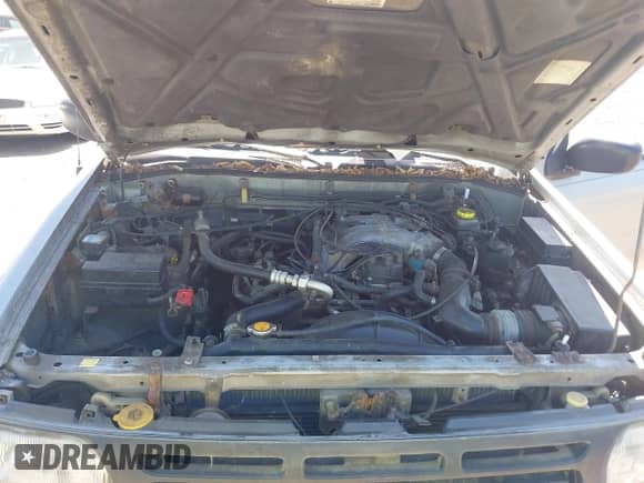 1998 Nissan Pathfinder XE with VIN JN8AR05Y4WW227064, listed as a IAAI auction lot 42129255 with Not provided miles and . Bid and sale history available at DreamBid. Image 10.