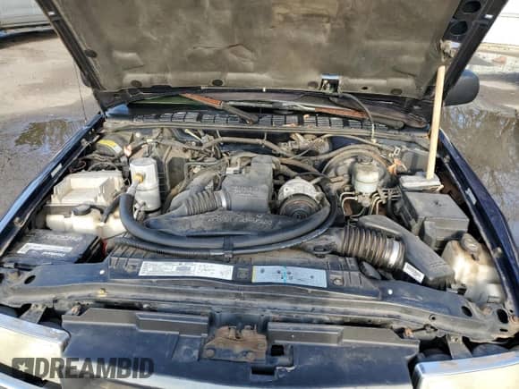 2002 Chevrolet S-10 with VIN 1GCCS145128126679, listed as a Copart auction lot 42479935 with 117,258 mi miles and Salvage title. Bid and sale history available at DreamBid. Image 13.