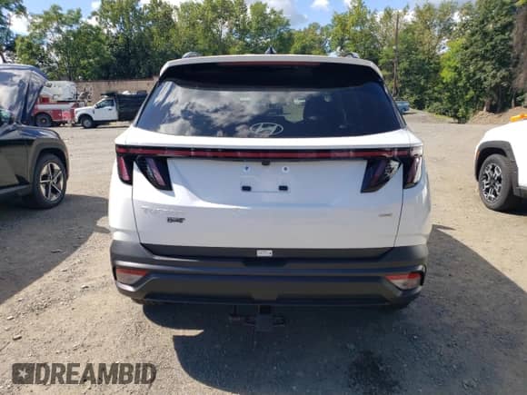 2025 Hyundai Tucson SEL with VIN 5NMJFCDE1SH502870, listed as a Copart auction lot 70522855 with 10 mi miles and Salvage title. Bid and sale history available at DreamBid. Image 6.