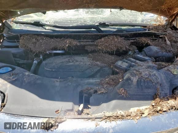 2019 Honda Pilot Touring 8-Passenger z VIN 5FNYF5H9XKB026921, wystawiony jako Copart lot #66892335 z przebiegiem Nie podano mil oraz Szkoda całkowita • Salvage title. Historia ofert i sprzedaży dostępna na DreamBid. Obrazek 11.