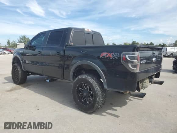 2014 Ford F-150 FX4 with VIN 1FTFW1EF4EKD50609, listed as a Copart auction lot 81658355 with 202,559 mi miles and Salvage title. Bid and sale history available at DreamBid. Image 2.