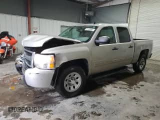 2009 Chevrolet Silverado 1500 LS with VIN 3GCEC13C99G248104, listed as a Copart auction lot 61499885 with 131,718 mi miles and Salvage title. Bid and sale history available at DreamBid. Image 1.
