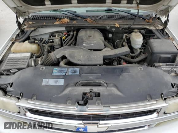2005 Chevrolet Tahoe LT with VIN 1GNEC13T55R195659, listed as a Copart auction lot 89521685 with 301,332 mi miles and Clean title. Bid and sale history available at DreamBid. Image 12.
