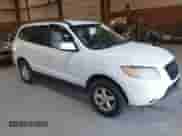 2008 Hyundai Santa Fe GLS z VIN 5NMSG13D38H148938, wystawiony jako IAAI lot #43545782 z przebiegiem 131 003 mil mil oraz . Historia ofert i sprzedaży dostępna na DreamBid. Obrazek 1.