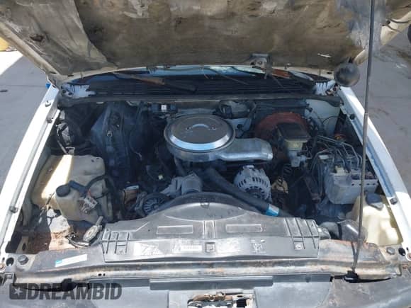 1995 Chevrolet S-10 LS с VIN 1GCCS19Z6S8134451, выставлен на аукционе IAAI как лот 42261614 с пробегом 300 001 миль миль и . История ставок и продаж доступна на DreamBid. Изображение 10.