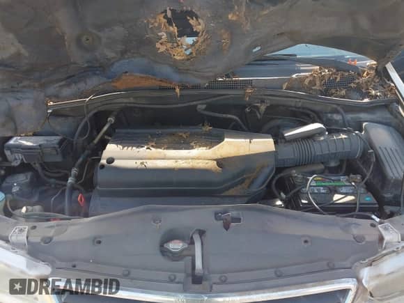 2003 Honda Odyssey LX с VIN 5FNRL18503B115238, выставлен на аукционе IAAI как лот 42976065 с пробегом 224 936 миль миль и . История ставок и продаж доступна на DreamBid. Изображение 10.