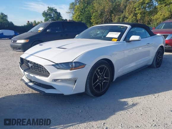 2023 Ford Mustang EcoBoost with VIN 1FATP8UH4P5105036, listed as a IAAI auction lot 43357689 with 61,296 mi miles and . Bid and sale history available at DreamBid. Image 18.
