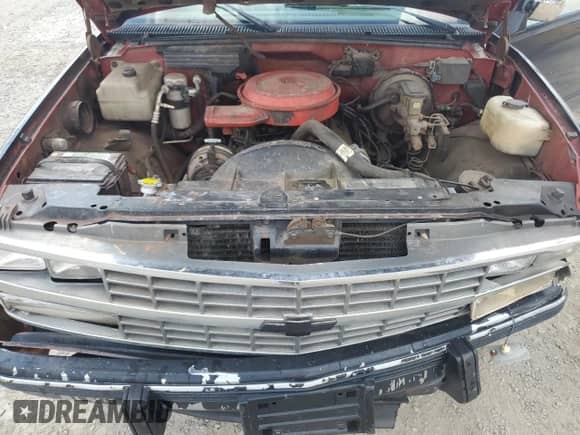 1989 Chevrolet Silverado 1500 с VIN 1GCDC14K4KE225294, выставлен на аукционе Copart как лот 60448895 с пробегом 201 270 миль миль и Списание • Salvage title. История ставок и продаж доступна на DreamBid. Изображение 11.