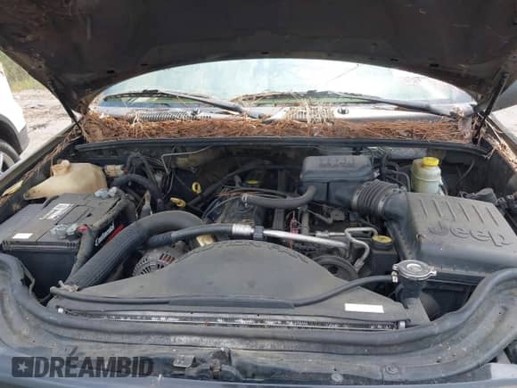 2004 Jeep Grand Cherokee Laredo with VIN 1J4GX48S24C394168, listed as a IAAI auction lot 43247440 with 262,286 mi miles and . Bid and sale history available at DreamBid. Image 10.