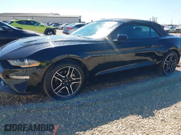 2023 Ford Mustang EcoBoost with VIN 1FATP8UH1P5105379, listed as a IAAI auction lot 41655830 with 27,611 mi miles and . Bid and sale history available at DreamBid. Image 2.