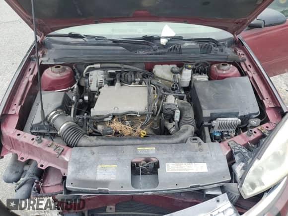 2004 Chevrolet Malibu Maxx LT с VIN 1G1ZU64844F185955, выставлен на аукционе Copart как лот 70465564 с пробегом Не указан миль и Списание • Salvage title. История ставок и продаж доступна на DreamBid. Изображение 12.