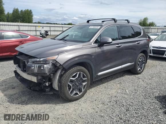 2022 Hyundai Santa Fe Limited with VIN KM8S5DA13NU026886, listed as a Copart auction lot 61783225 with 46,643 mi miles and Salvage title. Bid and sale history available at DreamBid. Image 1.