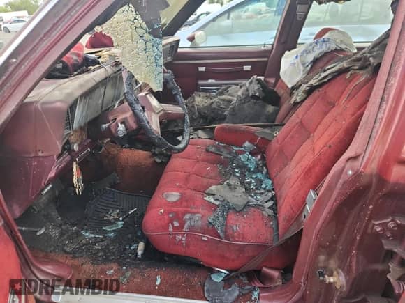 1984 Chevrolet Caprice z VIN 1G1AN69H0EH138172, wystawiony jako Copart lot #72030645 z przebiegiem Nie podano mil oraz Szkoda całkowita • Salvage title. Historia ofert i sprzedaży dostępna na DreamBid. Obrazek 7.