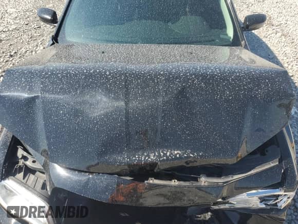 2016 Chrysler 300 Anniversary Edition with VIN 2C3CCAAG8GH269878, listed as a Copart auction lot 80586405 with Not provided miles and Salvage title. Bid and sale history available at DreamBid. Image 11.