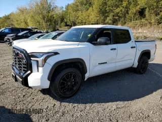 2023 Toyota Tundra SR5 with VIN 5TFLA5DBXPX109117, listed as a Copart auction lot 85257315 with 36,299 mi miles and Salvage title. Bid and sale history available at DreamBid. Image 1.