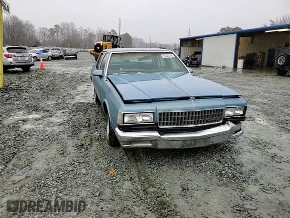 1988 Chevrolet Caprice с VIN 1G1BL51H4JA107607, выставлен на аукционе Copart как лот 43505345 с пробегом 61 354 миль миль и Списание • Salvage title. История ставок и продаж доступна на DreamBid. Изображение 10.