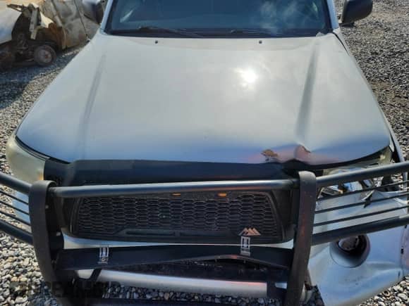 2009 Toyota Tacoma PreRunner с VIN 3TMJU62N89M084650, выставлен на аукционе Copart как лот 66389865 с пробегом 210 848 миль миль и Списание • Salvage title. История ставок и продаж доступна на DreamBid. Изображение 11.
