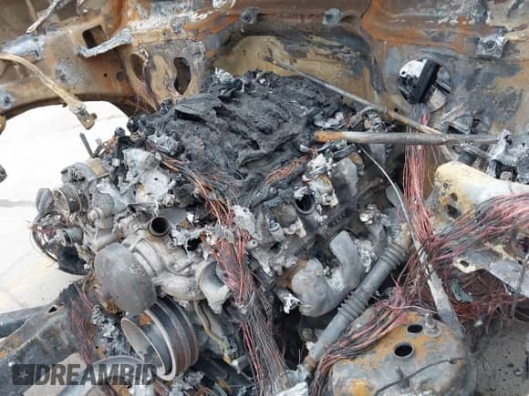 2021 Chevrolet Silverado 1500 Work Truck with VIN 3GCNWAEF1MG308061, listed as a IAAI auction lot 41267222 with Not provided miles and . Bid and sale history available at DreamBid. Image 10.