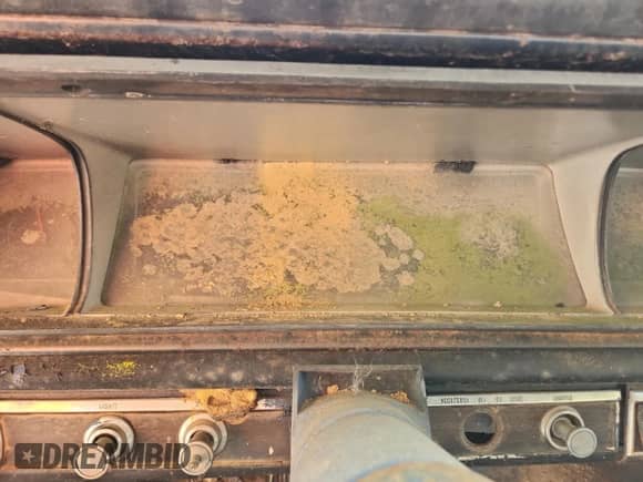 1966 Chevrolet Caprice с VIN 1664765154937XXXX, выставлен на аукционе Copart как лот 87389015 с пробегом Не указан миль и Чистый • Clean title. История ставок и продаж доступна на DreamBid. Изображение 9.