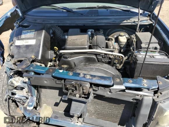 2003 Chevrolet TrailBlazer LS с VIN 1GNDS13S732274956, выставлен на аукционе Copart как лот 81486685 с пробегом Не указан миль и Списание • Salvage title. История ставок и продаж доступна на DreamBid. Изображение 12.