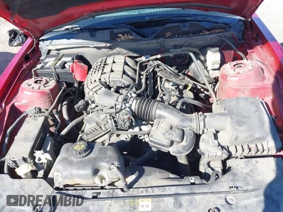 2012 Ford Mustang Premium с VIN 1ZVBP8AM0C5211028, выставлен на аукционе IAAI как лот 41751885 с пробегом 203 355 миль миль и . История ставок и продаж доступна на DreamBid. Изображение 10.